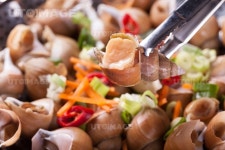 프리진 - 스톡 이미지, 사진, 일러스트, 벡터, 웹디자인. 이미지 사이트