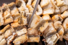 프리진 - 스톡 이미지, 사진, 일러스트, 벡터, 웹디자인. 이미지 사이트