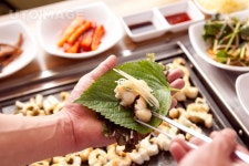 프리진 - 스톡 이미지, 사진, 일러스트, 벡터, 웹디자인. 이미지 사이트