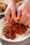 프리진 - 스톡 이미지, 사진, 일러스트, 벡터, 웹디자인. 이미지 사이트