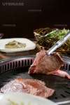 프리진 - 스톡 이미지, 사진, 일러스트, 벡터, 웹디자인. 이미지 사이트