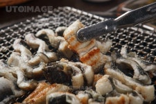 프리진 - 스톡 이미지, 사진, 일러스트, 벡터, 웹디자인. 이미지 사이트