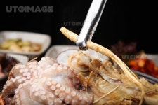 프리진 - 스톡 이미지, 사진, 일러스트, 벡터, 웹디자인. 이미지 사이트