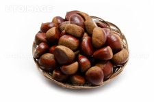 프리진 - 스톡 이미지, 사진, 일러스트, 벡터, 웹디자인. 이미지 사이트