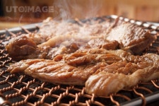 프리진 - 스톡 이미지, 사진, 일러스트, 벡터, 웹디자인. 이미지 사이트