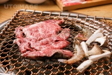프리진 - 스톡 이미지, 사진, 일러스트, 벡터, 웹디자인. 이미지 사이트
