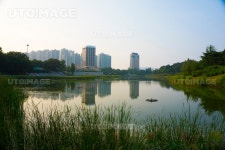 프리진 - 스톡 이미지, 사진, 일러스트, 벡터, 웹디자인. 이미지 사이트