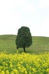 올림픽공원 | 유토이미지 검색 결과 올림픽공원 | 유토이미지  검색 결과