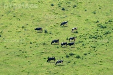 프리진 - 스톡 이미지, 사진, 일러스트, 벡터, 웹디자인. 이미지 사이트