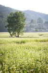 PHO437 | 유토이미지 검색 결과 PHO437 | 유토이미지  검색 결과