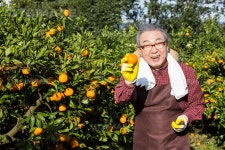 프리진 - 스톡 이미지, 사진, 일러스트, 벡터, 웹디자인. 이미지 사이트