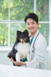 동물병원 | 유토이미지 검색 결과 동물병원 | 유토이미지  검색 결과
