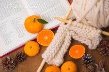 유토이미지 | 귤 063