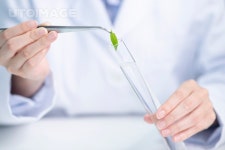 프리진 - 스톡 이미지, 사진, 일러스트, 벡터, 웹디자인. 이미지 사이트