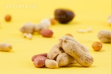 프리진 - 스톡 이미지, 사진, 일러스트, 벡터, 웹디자인. 이미지 사이트