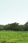 프리진 - 스톡 이미지, 사진, 일러스트, 벡터, 웹디자인. 이미지 사이트