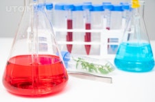 프리진 - 스톡 이미지, 사진, 일러스트, 벡터, 웹디자인. 이미지 사이트