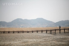 유토이미지 | 여수 순천만 자연생태공원 습지 풍경