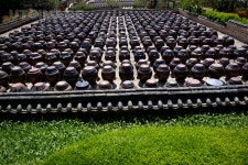 프리진 - 스톡 이미지, 사진, 일러스트, 벡터, 웹디자인. 이미지 사이트