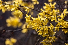 프리진 - 스톡 이미지, 사진, 일러스트, 벡터, 웹디자인. 이미지 사이트