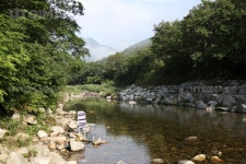 프리진 - 스톡 이미지, 사진, 일러스트, 벡터, 웹디자인. 이미지 사이트