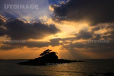 프리진 - 스톡 이미지, 사진, 일러스트, 벡터, 웹디자인. 이미지 사이트