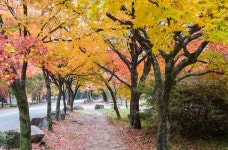 프리진 - 스톡 이미지, 사진, 일러스트, 벡터, 웹디자인. 이미지 사이트