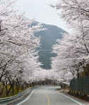 프리진 - 스톡 이미지, 사진, 일러스트, 벡터, 웹디자인. 이미지 사이트