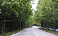 유토이미지 | 가로수길