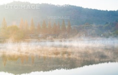 프리진 - 스톡 이미지, 사진, 일러스트, 벡터, 웹디자인. 이미지 사이트