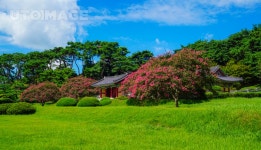 프리진 - 스톡 이미지, 사진, 일러스트, 벡터, 웹디자인. 이미지 사이트