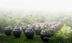 프리진 - 스톡 이미지, 사진, 일러스트, 벡터, 웹디자인. 이미지 사이트