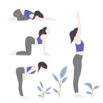 핫요가 | 유토이미지 검색 결과 핫요가 | 유토이미지  검색 결과