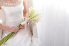 프리진 - 스톡 이미지, 사진, 일러스트, 벡터, 웹디자인. 이미지 사이트