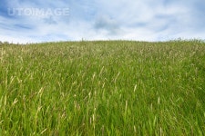 프리진 - 스톡 이미지, 사진, 일러스트, 벡터, 웹디자인. 이미지 사이트