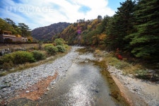 프리진 - 스톡 이미지, 사진, 일러스트, 벡터, 웹디자인. 이미지 사이트