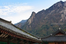 프리진 - 스톡 이미지, 사진, 일러스트, 벡터, 웹디자인. 이미지 사이트