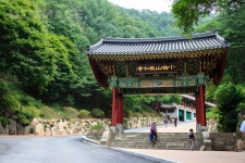 프리진 - 스톡 이미지, 사진, 일러스트, 벡터, 웹디자인. 이미지 사이트