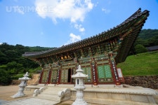프리진 - 스톡 이미지, 사진, 일러스트, 벡터, 웹디자인. 이미지 사이트