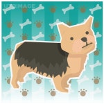 프리진 - 스톡 이미지, 사진, 일러스트, 벡터, 웹디자인. 이미지 사이트