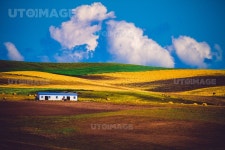 유토이미지 | light and shadow,inner mongolia,grassland,hulunberger,color,canon,H & Y Natural Wind | City Lights,The Moose... 