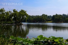 유토이미지 | Of,course,scenery,The,river,tree,reflex,No,one,Nature,landscape,The,sky,pond,Travel,summertime,outdoors,The,park...