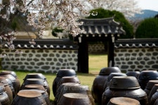 프리진 - 스톡 이미지, 사진, 일러스트, 벡터, 웹디자인. 이미지 사이트