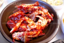 프리진 - 스톡 이미지, 사진, 일러스트, 벡터, 웹디자인. 이미지 사이트