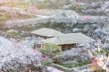 프리진 - 스톡 이미지, 사진, 일러스트, 벡터, 웹디자인. 이미지 사이트