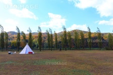 프리진 - 스톡 이미지, 사진, 일러스트, 벡터, 웹디자인. 이미지 사이트