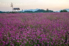 프리진 - 스톡 이미지, 사진, 일러스트, 벡터, 웹디자인. 이미지 사이트