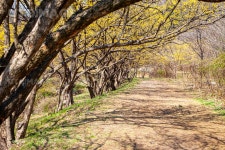 프리진 - 스톡 이미지, 사진, 일러스트, 벡터, 웹디자인. 이미지 사이트