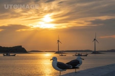 프리진 - 스톡 이미지, 사진, 일러스트, 벡터, 웹디자인. 이미지 사이트