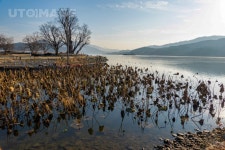 프리진 - 스톡 이미지, 사진, 일러스트, 벡터, 웹디자인. 이미지 사이트